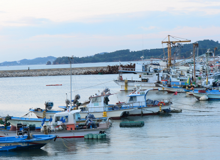 2024년 화성 송산 포도축제 일정