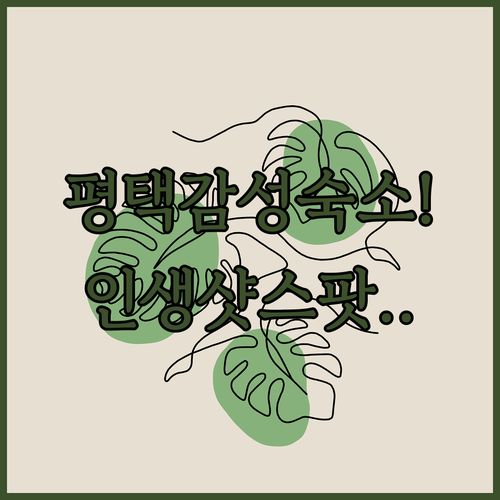 평택 숙소 추천 BEST 5 화이트시..