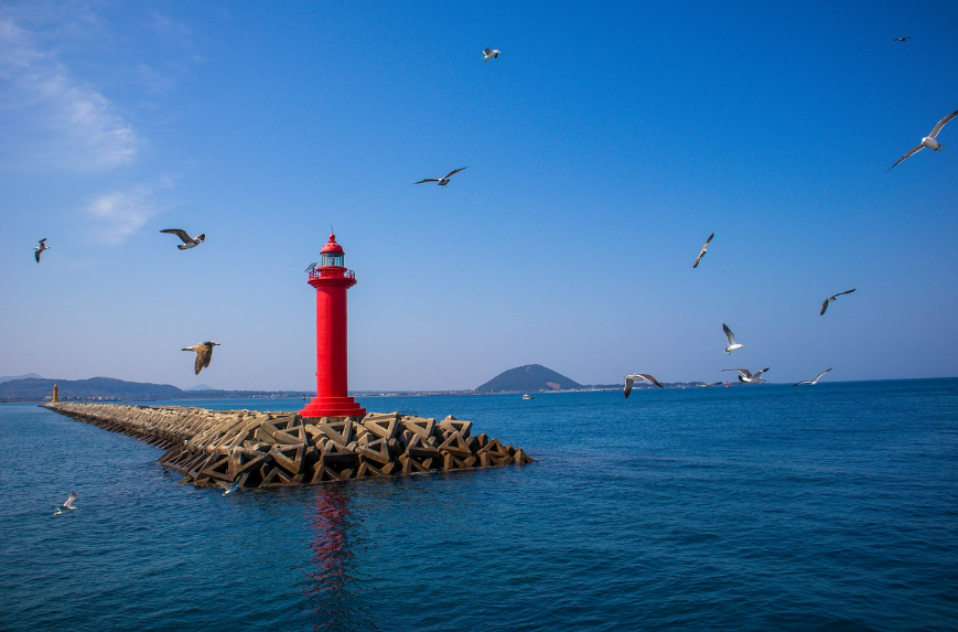 재주도 원주민만 아는 맛집 추천(회,국수,흑돼지) 관련 사진