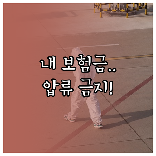 보장성 보험 사망보험금 압류 금지 금..