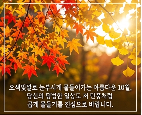 가을 아침 인사말 이미지