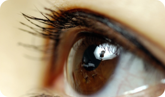 안구-건조증-치료