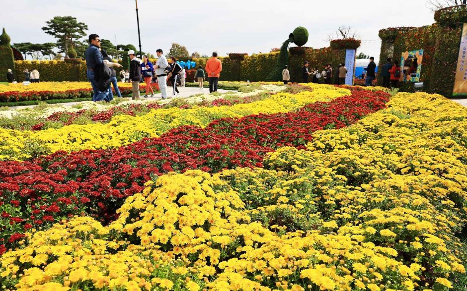 10월 지역 축제 가을 축제