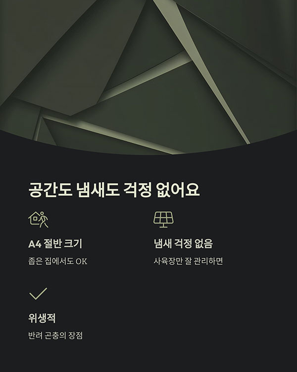 공간도 냄새도 걱정 없는 반려 곤충