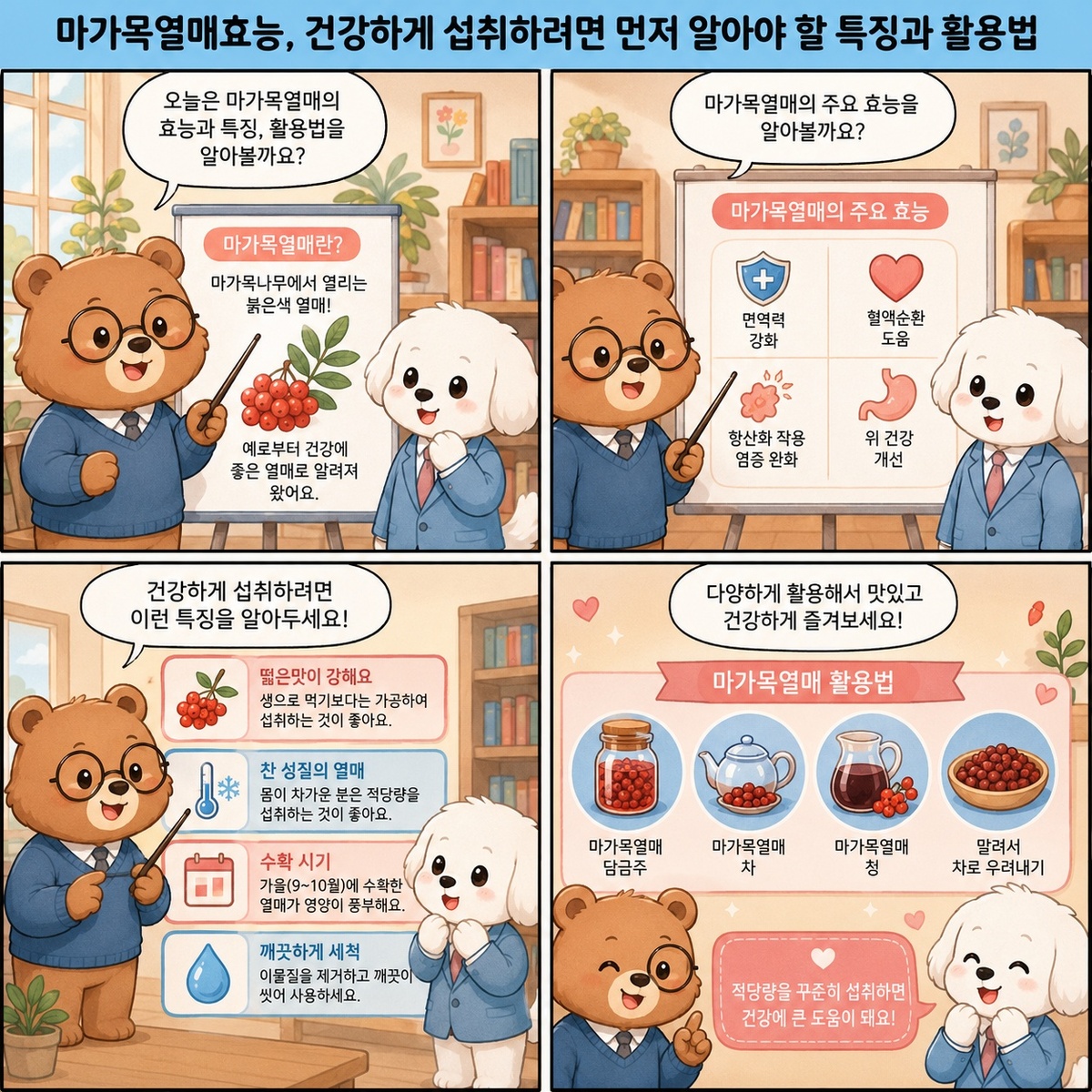 마가목열매효능, 건강하게 섭취하려면 먼저 알아야 할 특징과 활용법