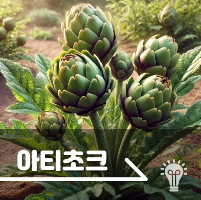 아티초크