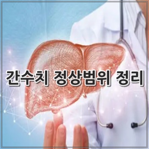 간수치 정상범위 정리