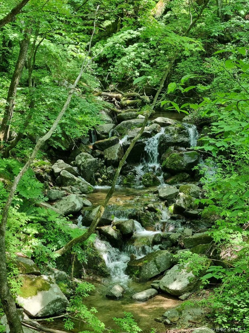 점봉산 곰배령 등산코스