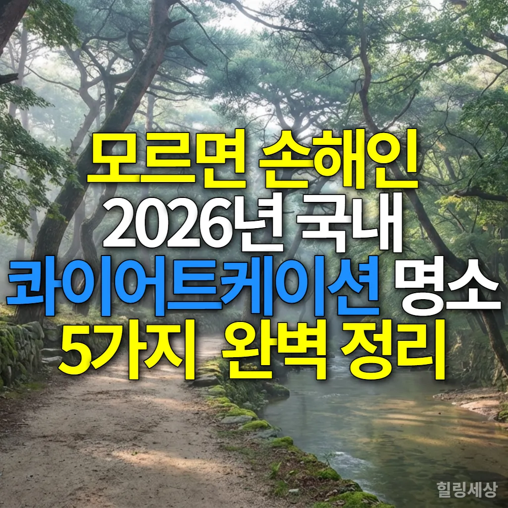 울창한 숲길과 잔잔한 시냇물이 어우러진 한국의 고요한 자연 풍경