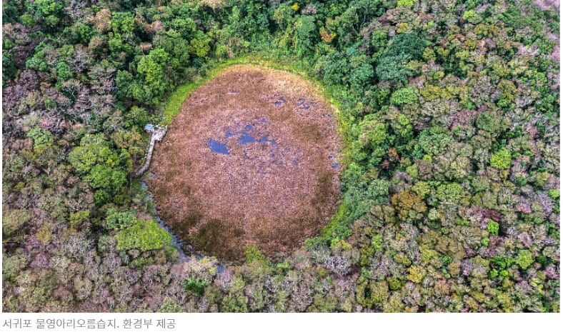 서귀포·고창·서천 ‘람사르습지도시’ 국제인증 확정 ㅣ 세계의 람사르 습지 World Ramsar Sites