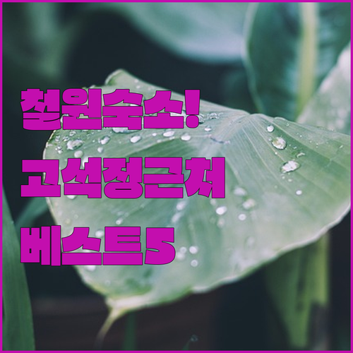 강원도 철원 여행 숙소 베스트 5 고..