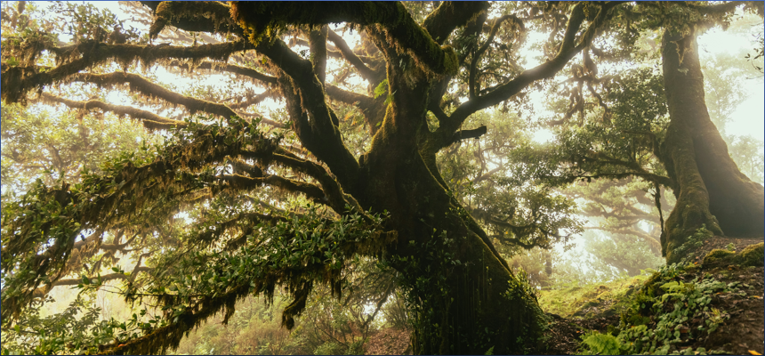 갑인일주 을묘일주 궁합