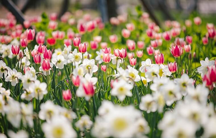 2023 어린이날 행사 (서울&amp;#44;경기&amp;#44;부산&amp;#44;아산)