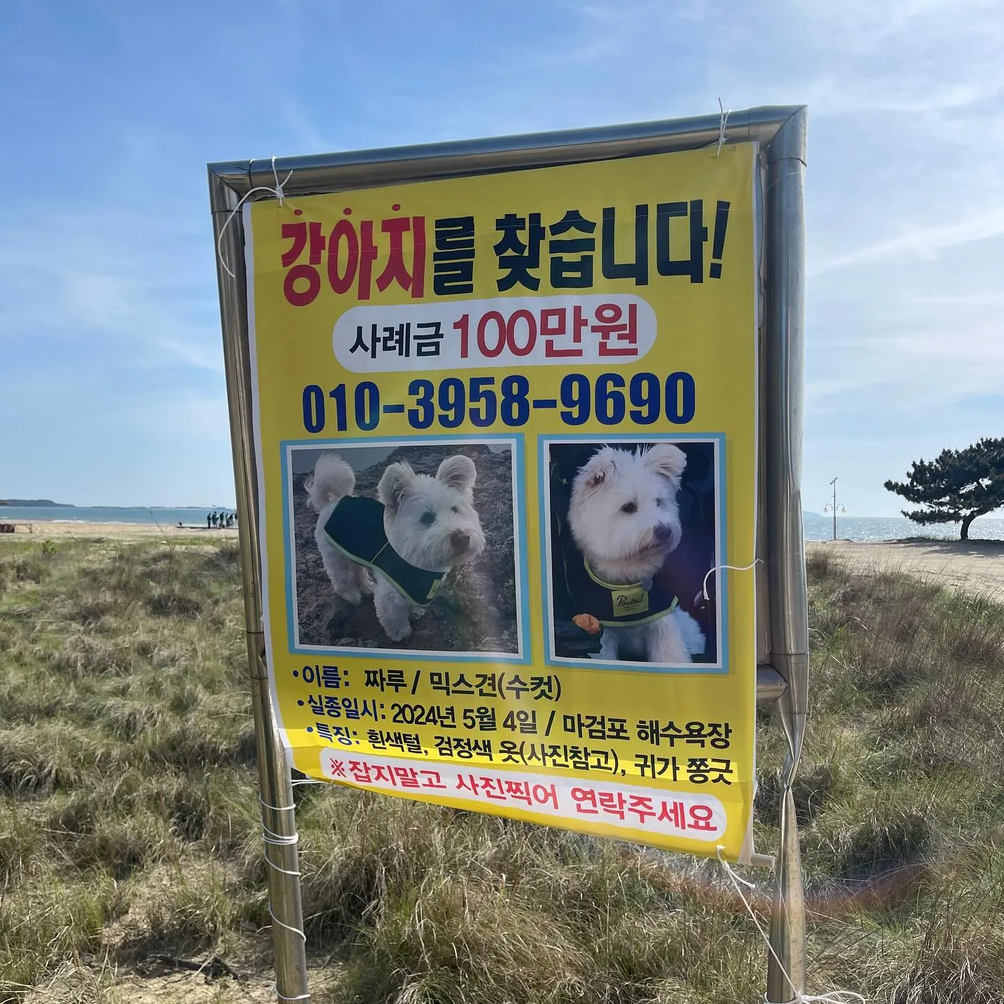 짜루캠핑 오프리쉬