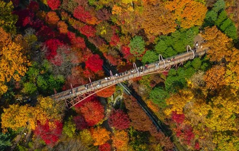 10월 화담숲 예약 방법