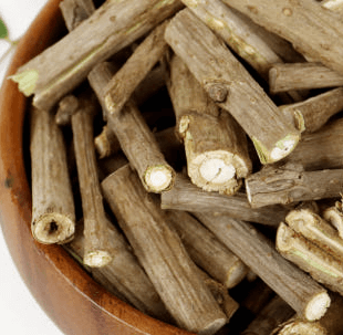 가시오가피 효능, 부작용, 먹는방법 총정리