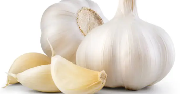 면역력을 강화하는 음식과 영양소 소개