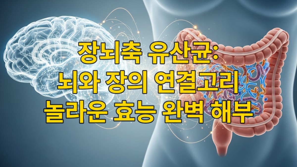 뇌와 장이 신경망으로 연결되어 상호작용하는 모습을 시각적으로 표현한 장뇌축 개념 이미지