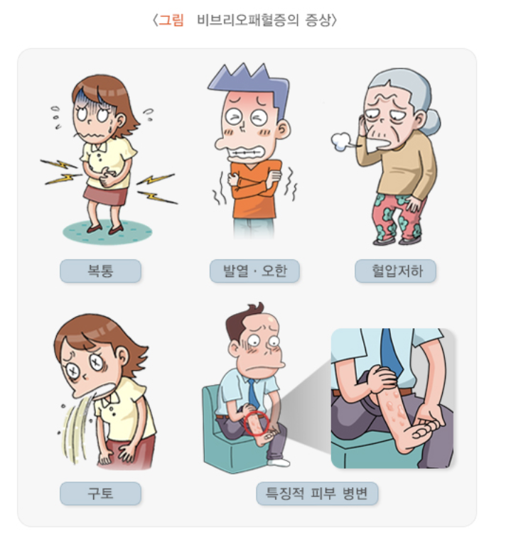 비브리오패혈증 증상