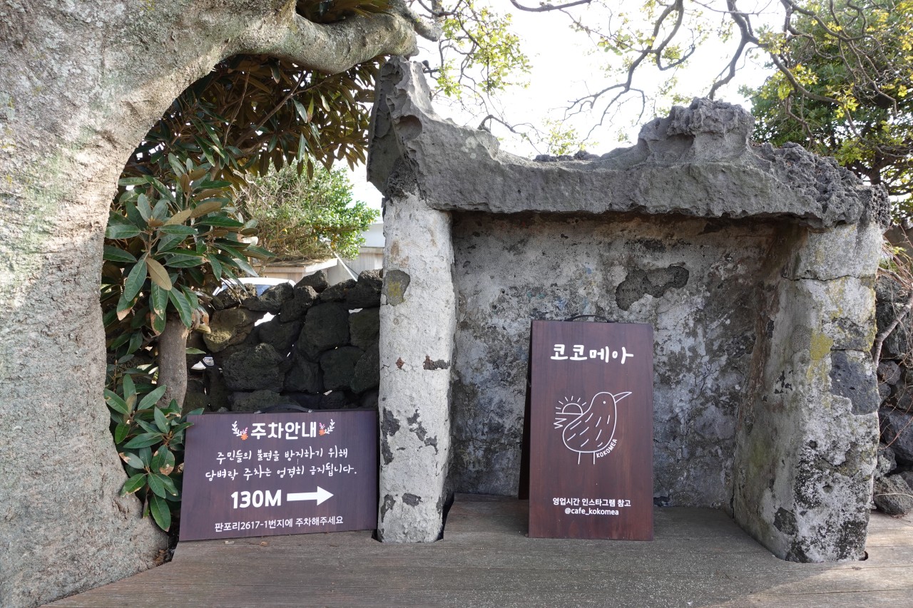 제주도 반려견 동반 맛집&amp;카페 : 동반 식당&amp;#44; 카페 추천