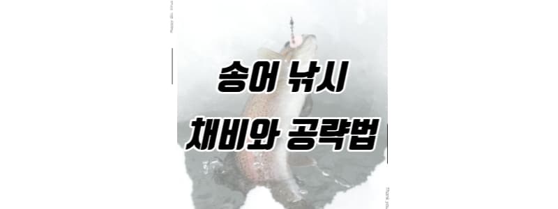 송어낚시 채비와 공략법 썸네일 이미지