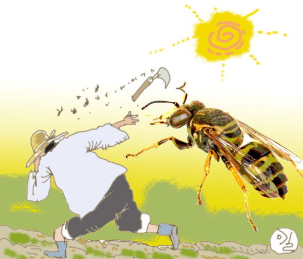 벌쏘임