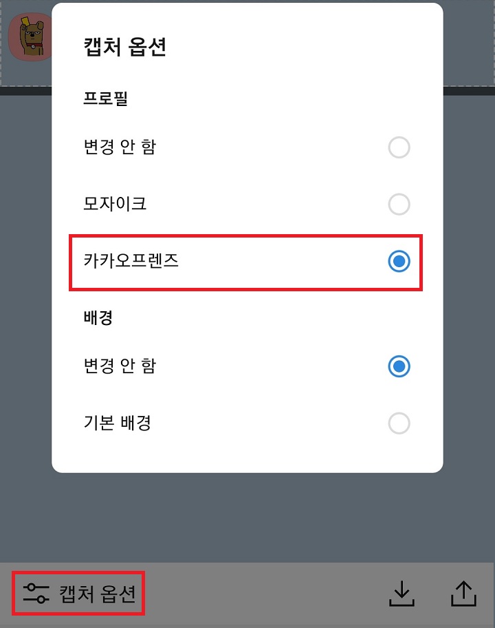 캡처 옵션에서 카카오프렌즈 선택함