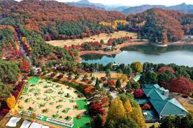 청남대 관람 예약