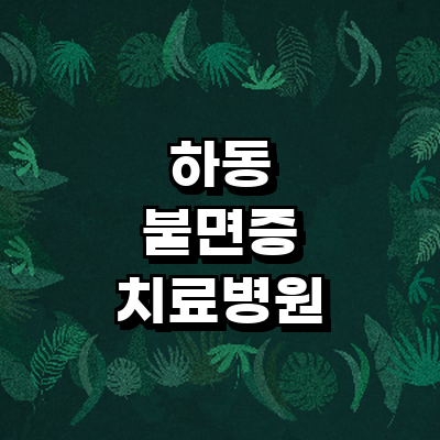 하동군 불면증
