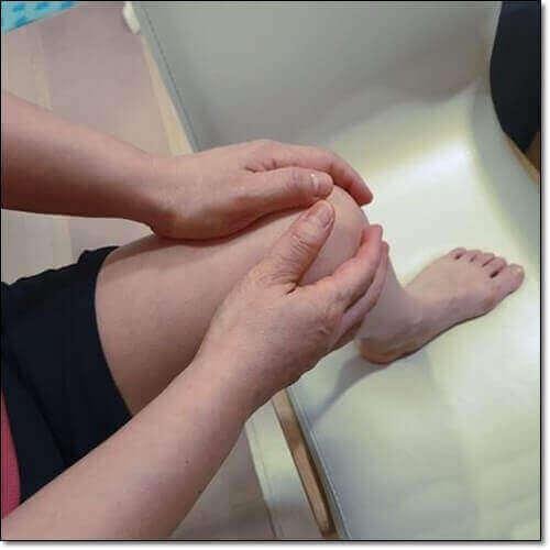 관절 영양제 MSM