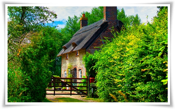 든든 전세주택 입주자 모집 공고