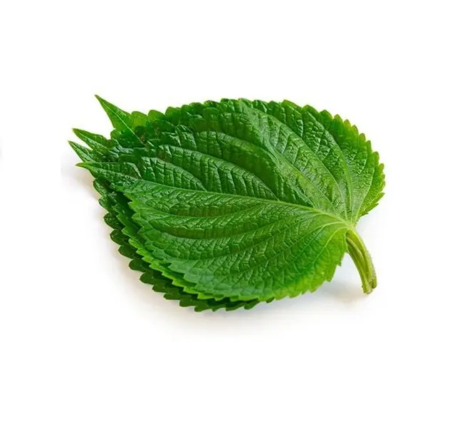 깻잎
