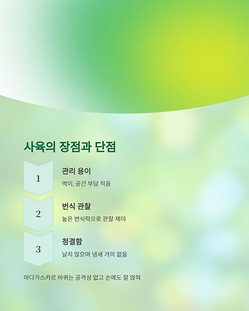 바퀴벌레 사육의 장점과 단점