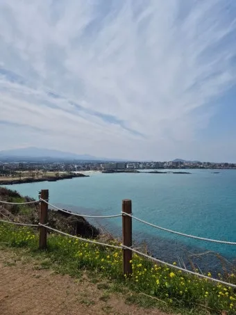 제주 함덕 맛집 추천 야경 보며 식사 가능한 곳 안내_7