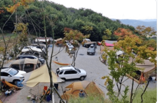 용인단풍숲캠핑장 