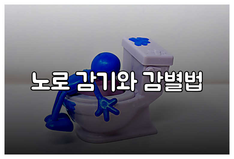노로 감기와 감별법
