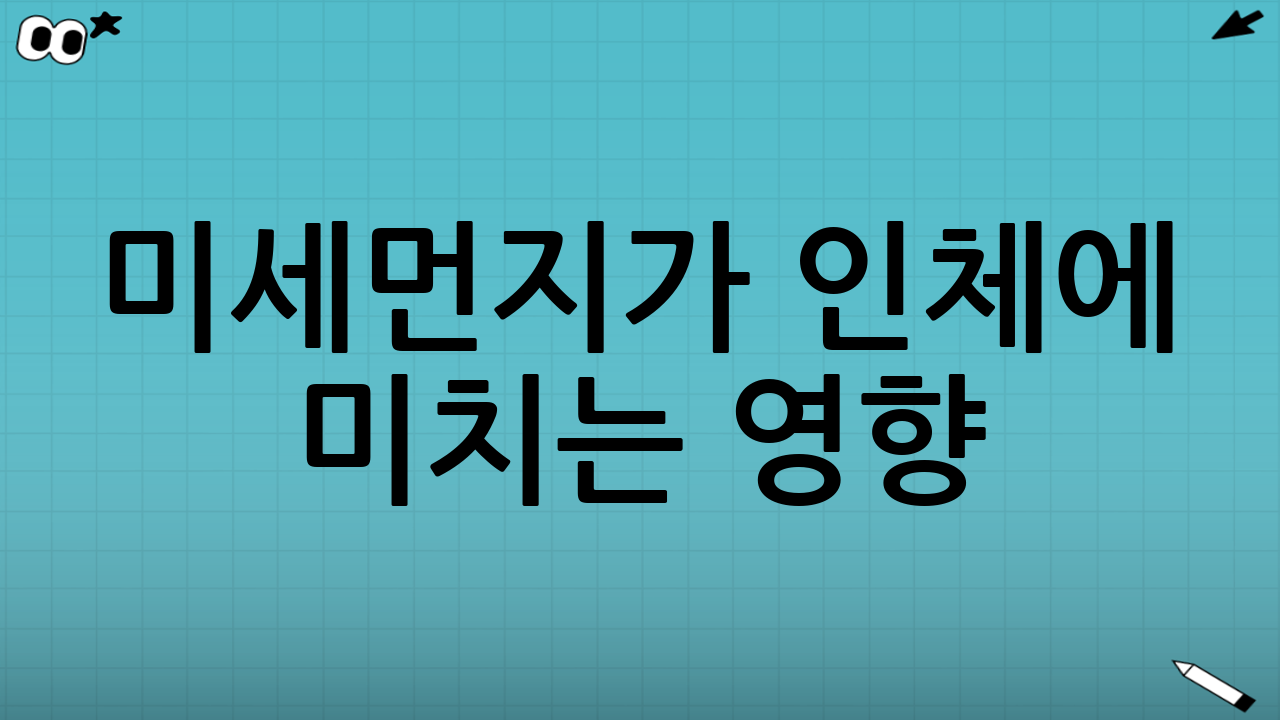 미세먼지가 인체에 
