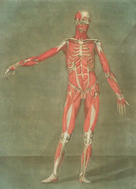 대상포진 초기증상 관련사진32