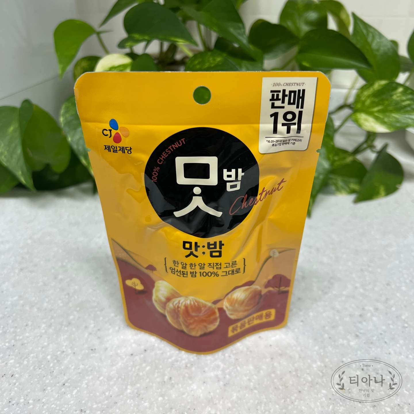 다이어트 중에 식사는 몇 번이 적당할까? 다이어트 간식 먹어도 될까?