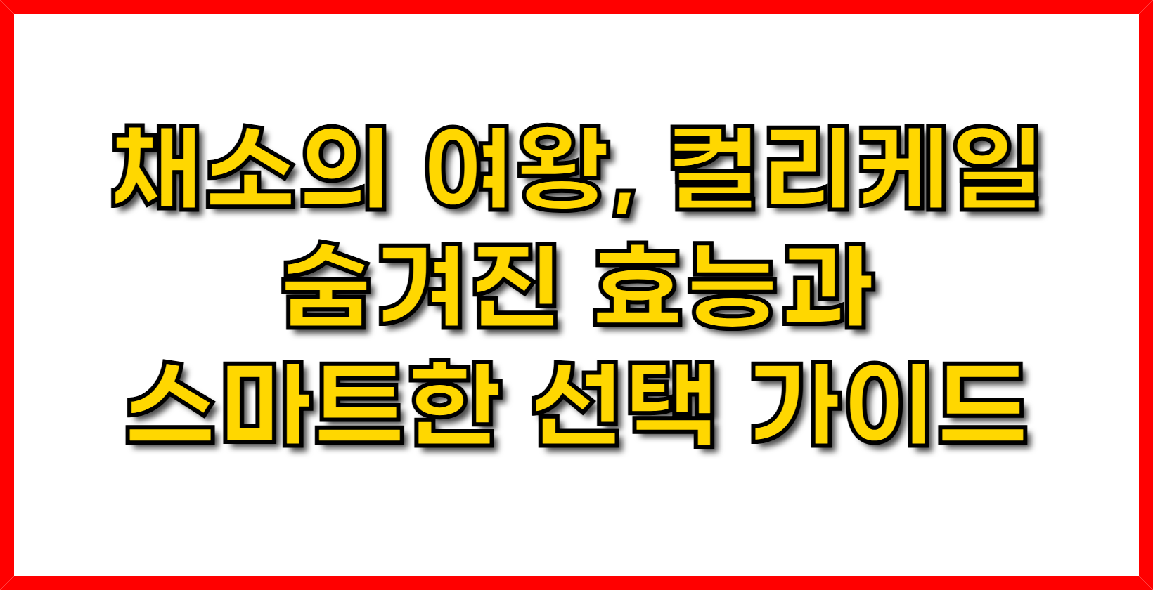 채소의 여왕, 컬리케일- 숨겨진 효능과 스마트한 선택 가이드
