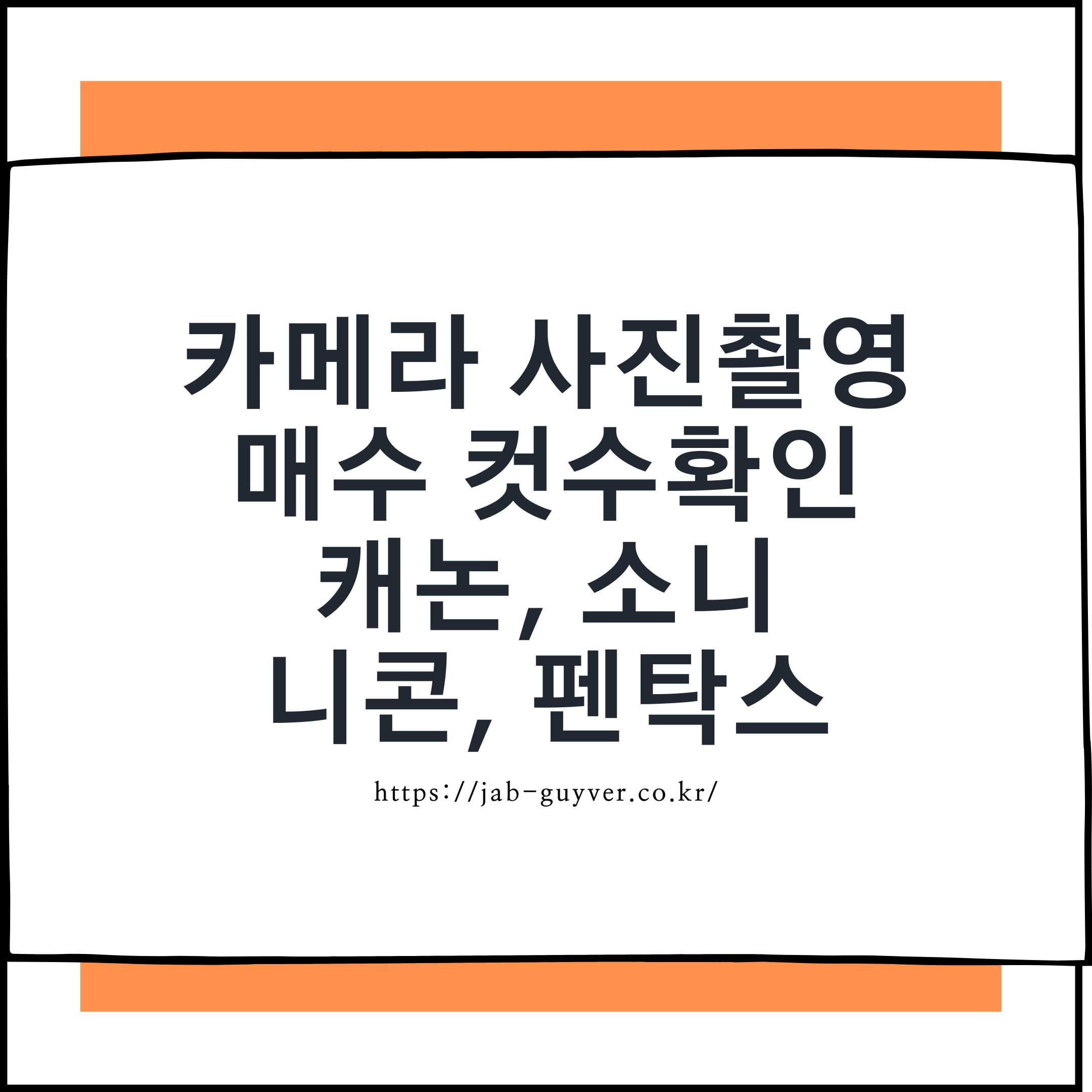 카메라 셔터 카운트 확인 예시(캐논·소니·니콘·펜탁스)
