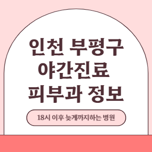 인천 부평구 야간진료 피부과 병원 (18시 이후 늦게까지하는 병원)