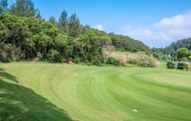 조선잔디 (Zoysia, 한국형 토종 잔디)