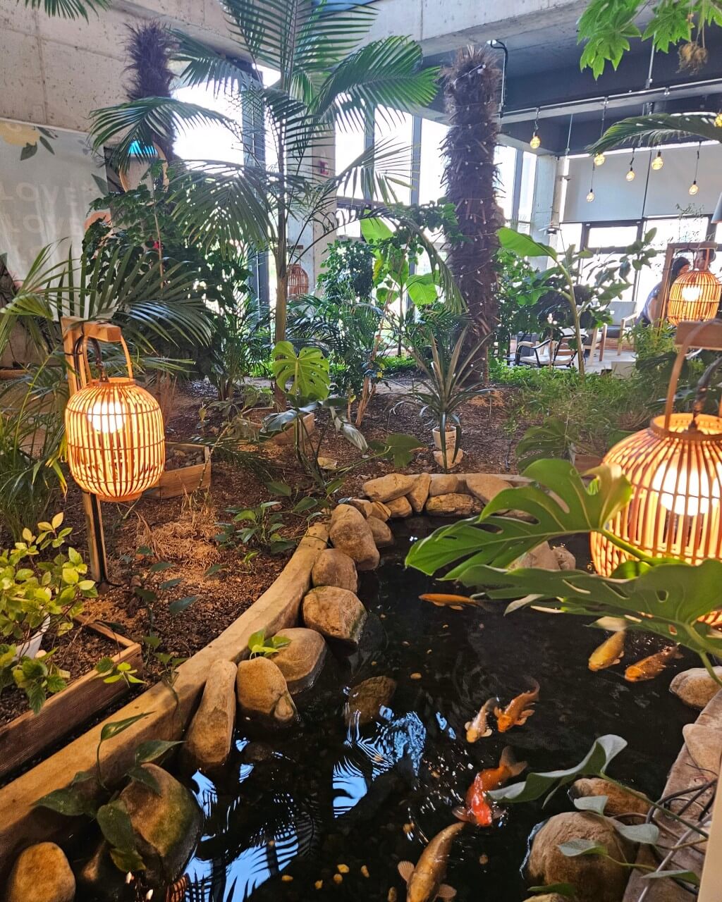 오늘N 커피 한잔할래요? 경북 경주시 식물원 분위기 카페 오베르 경주여행 갈만한 곳 오늘N 2501회