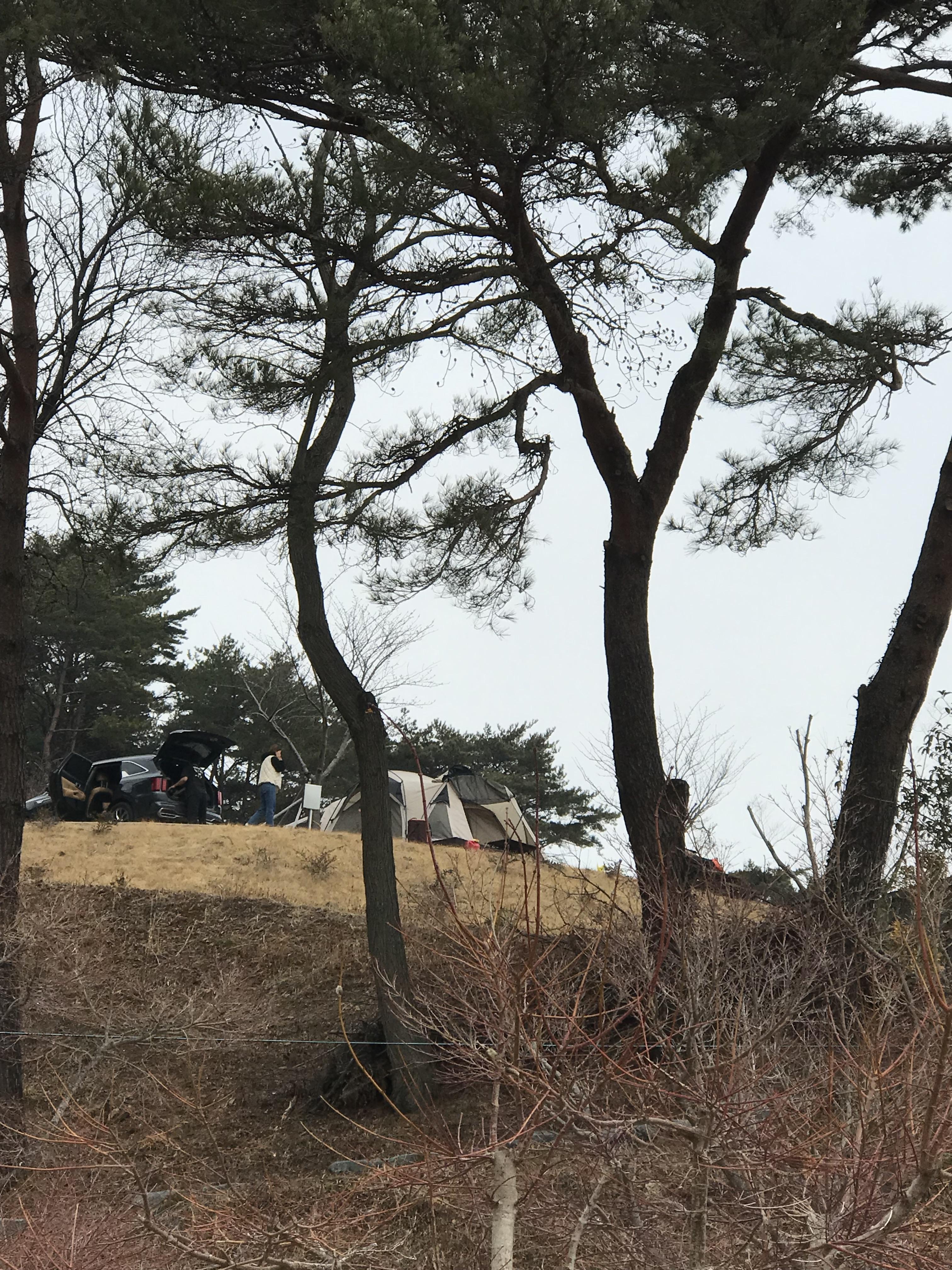 거금생태숲에 있는 캠핑장