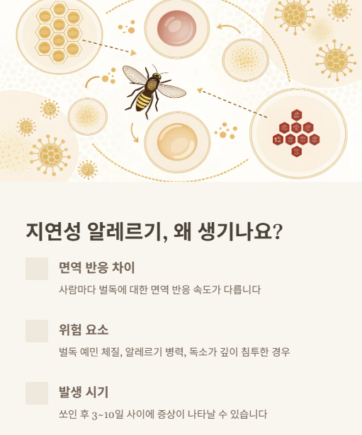 지연성 알레르기 왜 생기나요