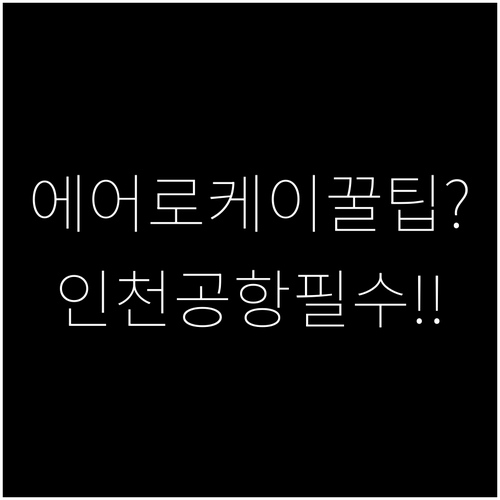 에어로케이항공 인천공항 이용 시 알아..