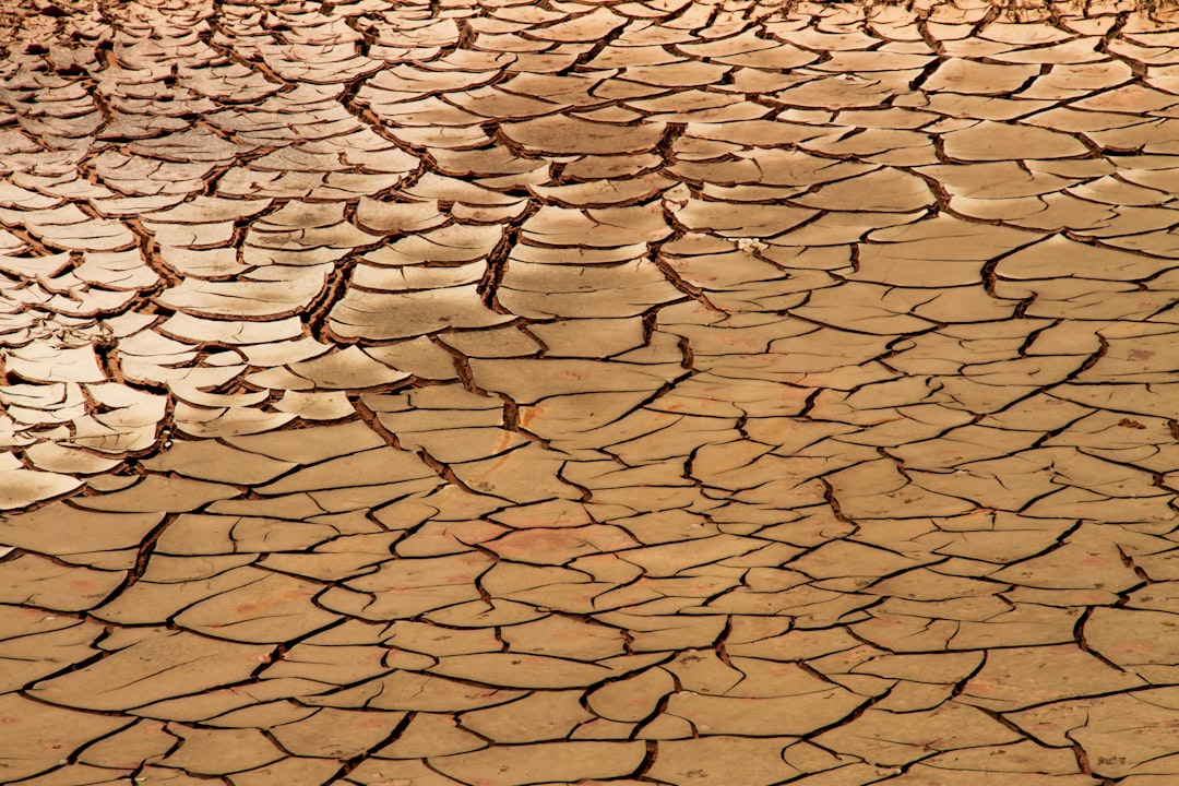 Dryness