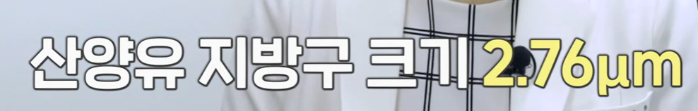 산양유 단백질 효능