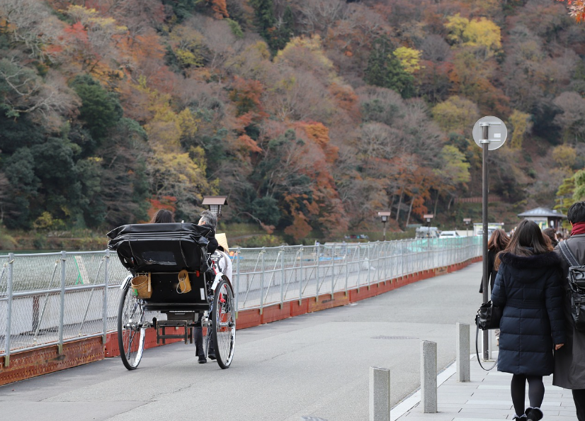인력거꾼: 자동차와 대중교통의 발전